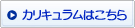 �J���L�������͂�����